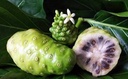 manna_product_0000001_4